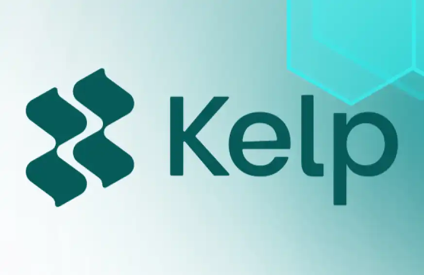 专访Kelp DAO创始人：成为LRT和DeFi互补的流动性层，Kelp野心不止于再质押