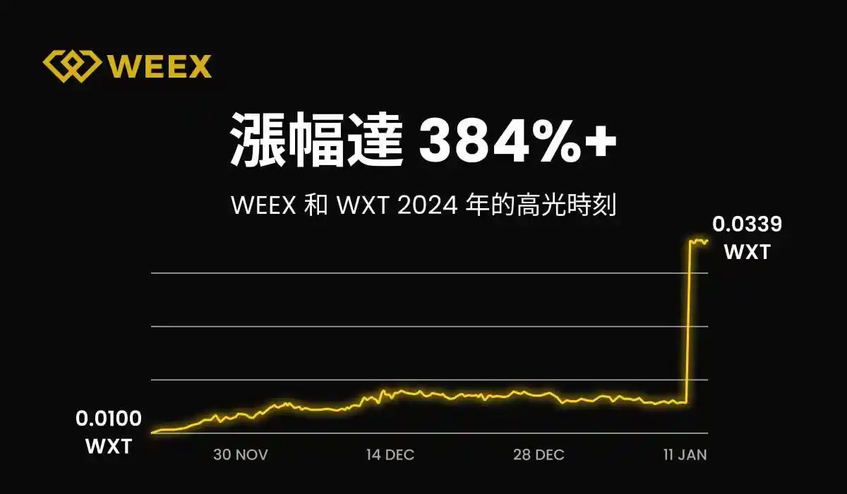 WEEX 2024年度报告:用户突破500万,日均交易额超50亿美元,团队规模达500+ 第1张