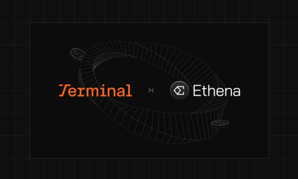 DEX Terminal Finance, được Ethena