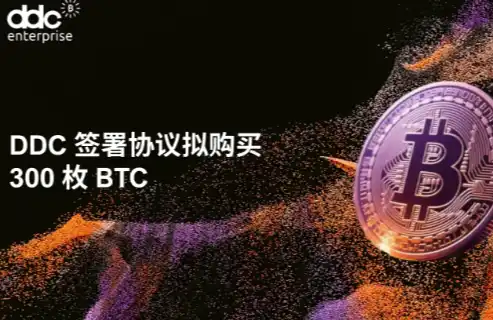 DDC Enterprise签署协议拟购买300枚比特币，创下公司历史最大单笔购买承诺