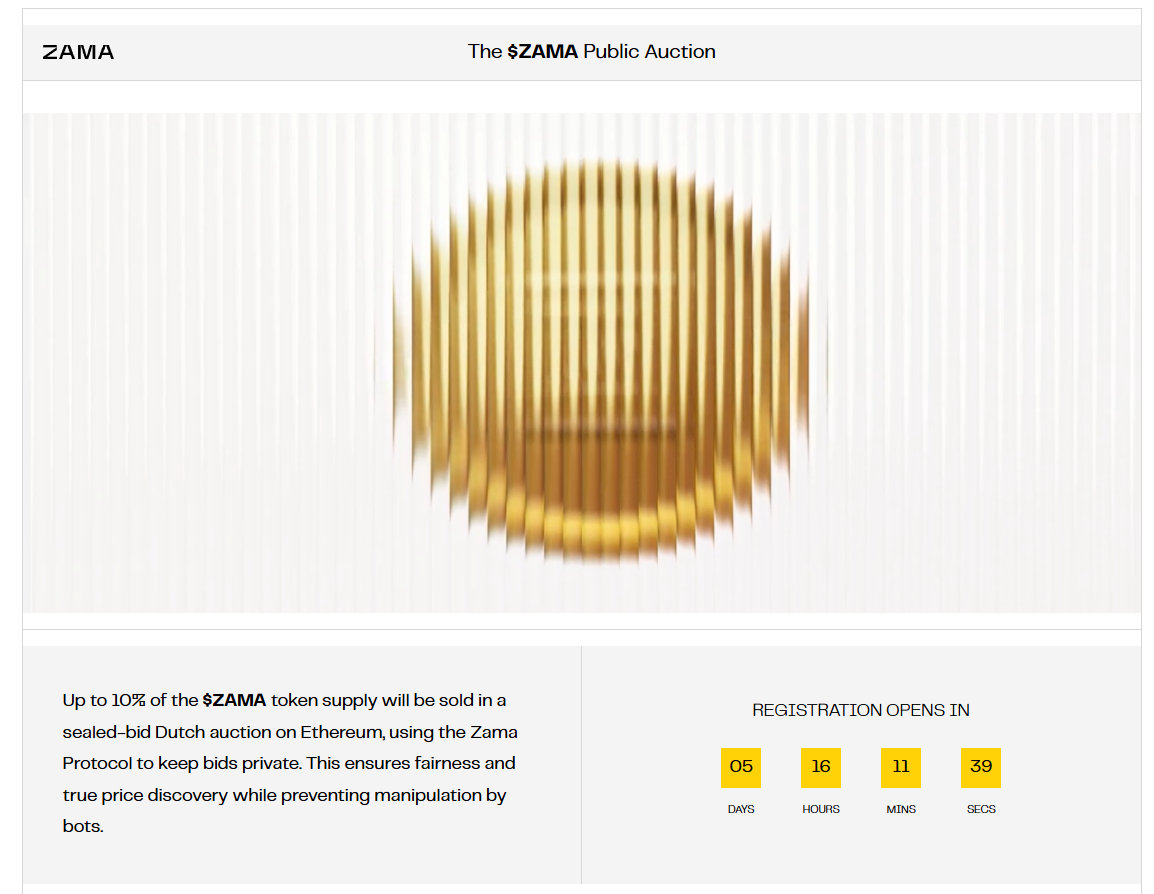 Hiểu về hình thức đấu giá công khai the