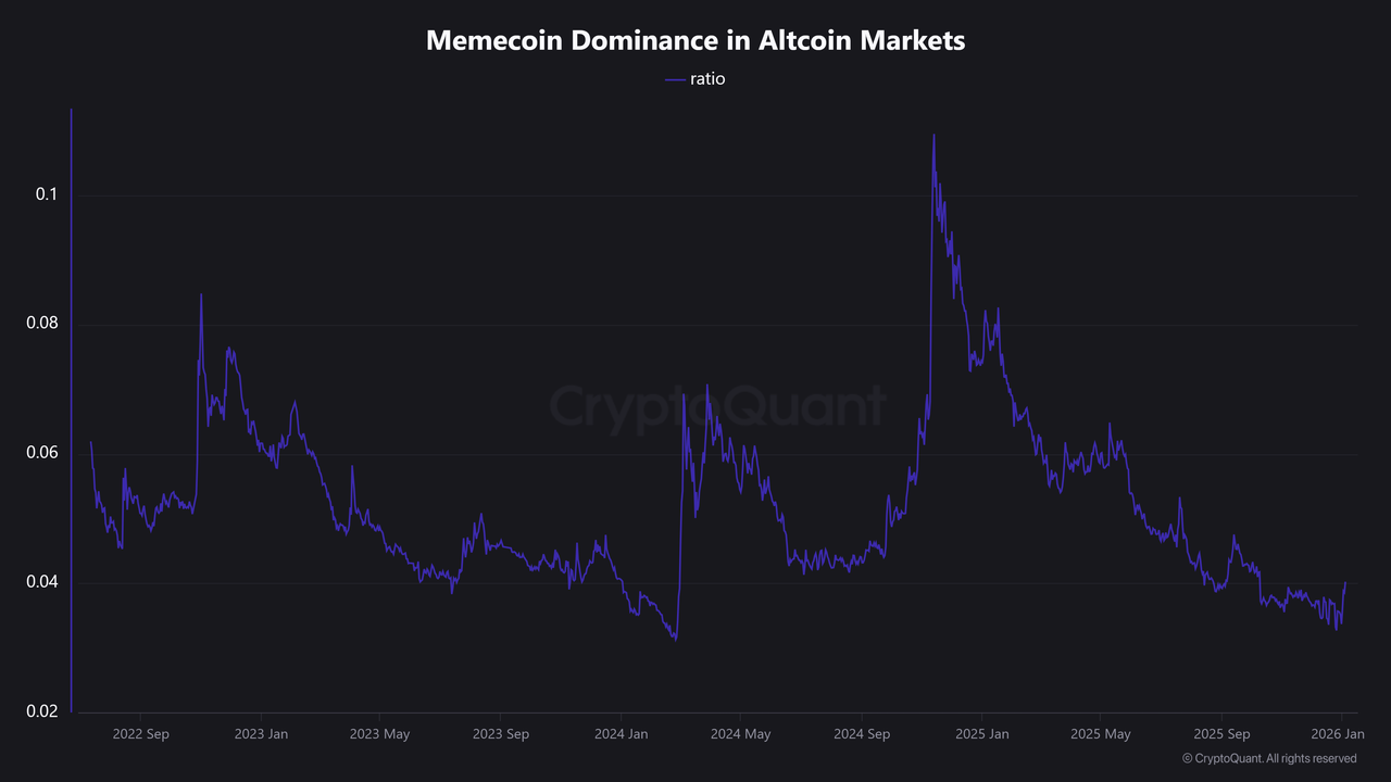 除了$114514，還可以關注哪些項目？