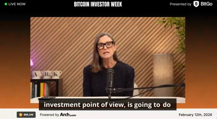 「Wood Sister」: AI Craze Brings About 「Benign Deflation」, Market is on the 「Flip Side」 of a Bubble 「Wood Sister」: AI Craze Brings About 「Benign Deflation」, Market is on the 「Flip Side」 of a Bubble