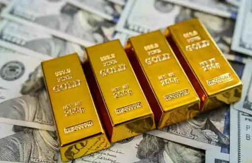 금 반환 $4,800. 올해의 정상은 어디에 있습니까