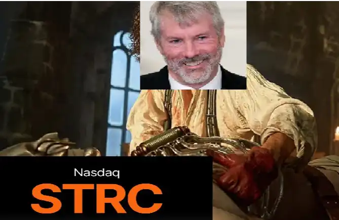 DENGAN BIAYA 11,5% DARI KEUNTUNGAN PEMBATALAN, AKAN STRATEGI MIKRO DARI STRC KEMBALI KE SAAT INI