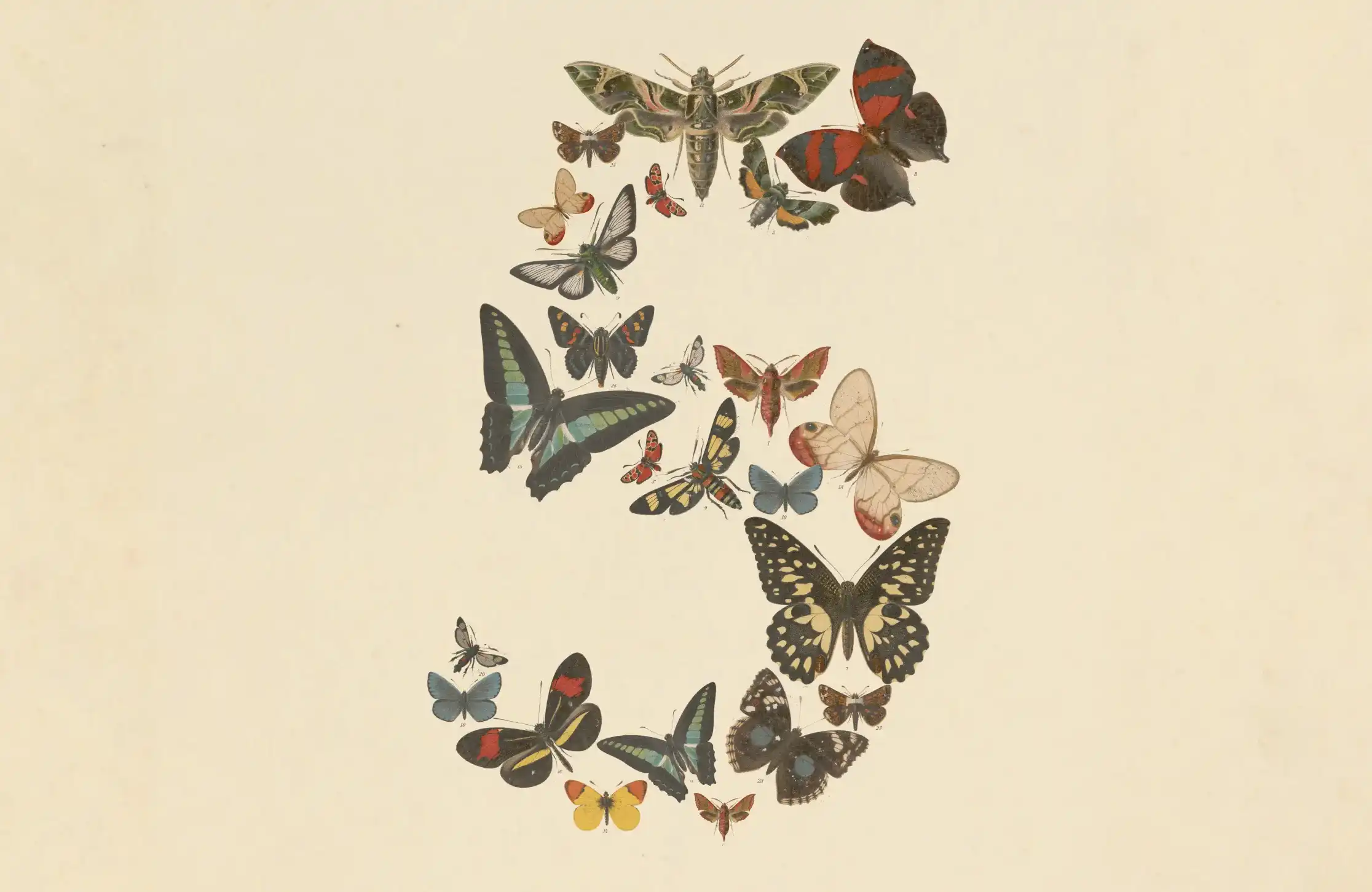 Anthropic的「最强模型」Claude Fable 5：性能爆炸，但价格翻倍