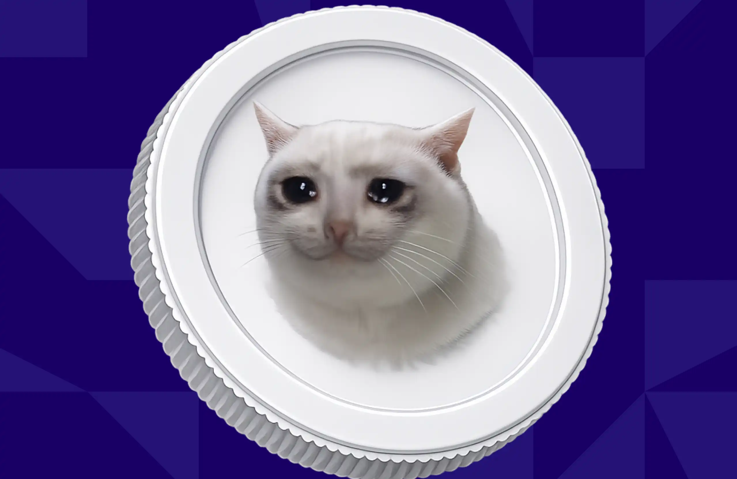 CASHCAT上Bitstamp的意义，与老鼠仓的搞砸