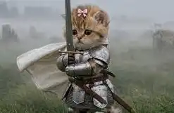 Bundle Cat（BUN）：专治捆绑砸盘+AI 做市｜项目介绍
