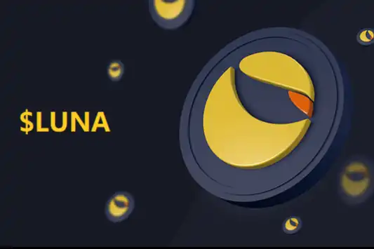 五种LUNA衍生品，哪种质押收益最高？