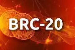 Bitget研究院首席分析师Ryan Lee：BRC20板块焕发第二春，有哪些热门标的值得关注？