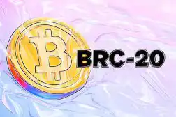 机遇与风险，探索新「BRCFi」叙事