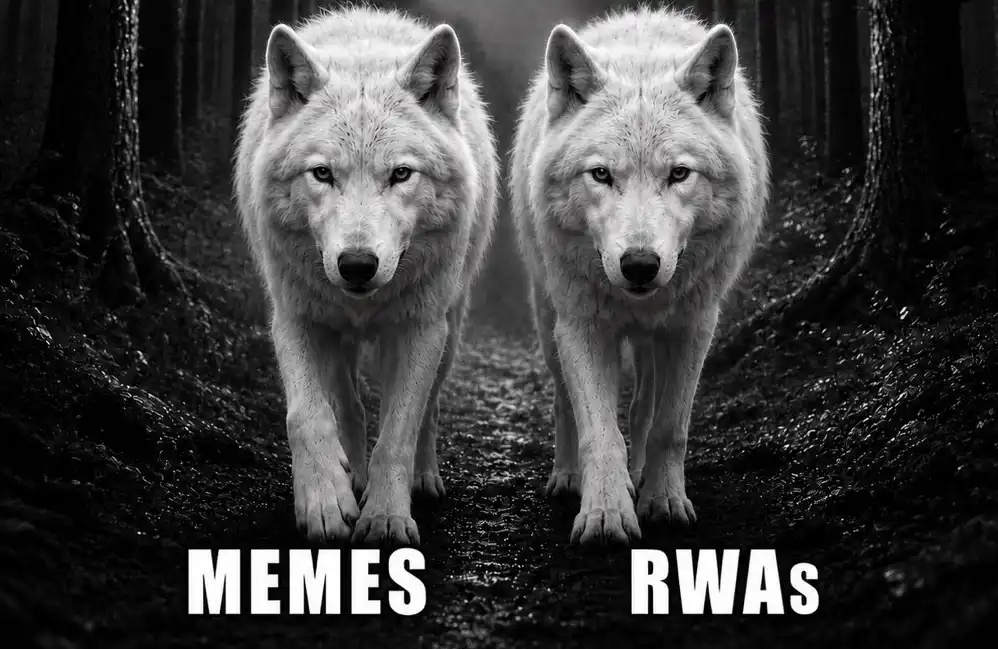 Meme Stock Mania: The Robinhood Chain Has Finally Found Its Grand Narrative